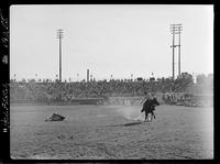 Don McLaughlin Calf Roping