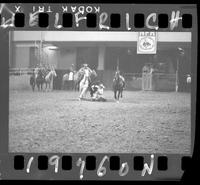 Steer Wrestling 4th Go