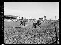 Phil hatcher Steer Wrestling