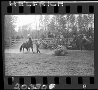 Jerry Peth Calf Roping