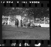 Bill McPherson Steer Wrestle