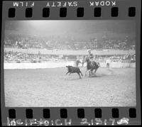 Dean Oliver Calf Roping