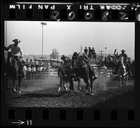 Harry Charters Steer Wrestling