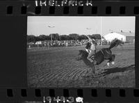 Clark Bros. Rodeo Kids