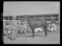 Lucky Card, Horses colts foaled 1957 Stan & Zoe Huffman, Ewing, Nebr.
