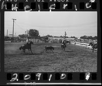 Dale Smith - Ted Ashworth Team Roping
