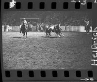 Vaughn Blackburn Steer Wrestle