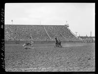 Olin Young Calf Roping