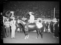Govenor & Benny Reynolds Prewitt Horse