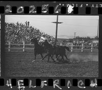 Lawrence Dewitt Steer Wrestling