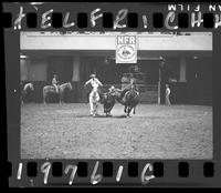 Steer Wrestling 5th Go