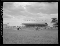 Don McLaughlin Steer Roping