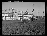 Bill Linderman hazing out steer