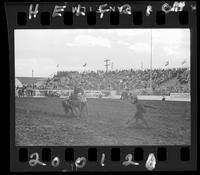 Gordon Wilkerson Calf Roping