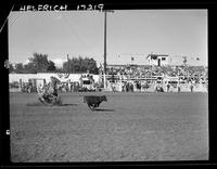 Wayne McMeans Calf Roping