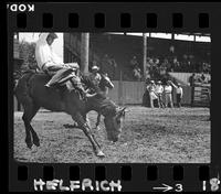 Walt Mason on Rockhound