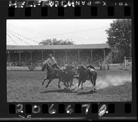 Don Huddleston Steer Wrestling