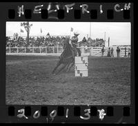 Pat Marr Barrel Racing