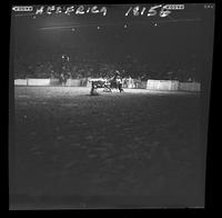 Shoate Webster Calf Roping