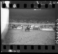 Phil Hatcher Steer Wrestling