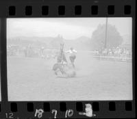 Wayne Cline Calf Roping