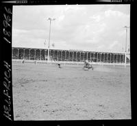 Bill Murry Calf Roping