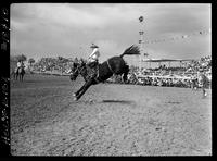 Arnold Jones on Brown Bomber