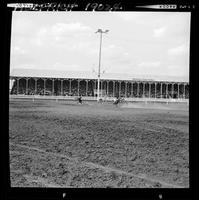 Bob Goodspeed Calf Roping