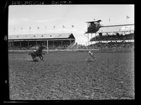 Bud Ferris Calf Roping