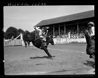 Clint Roberts on Brown Bomber