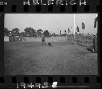 Clark Bros. Rodeo Kids