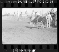 Clark Bros. Rodeo Kids