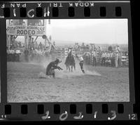 Clark Maddox Calf Roping