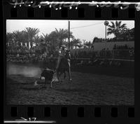Mike Hines Calf Roping