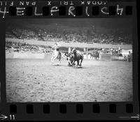 Phil Hatcher Steer Wrestling