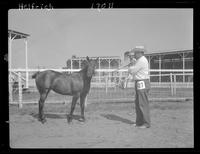 Sue Pat Star, Fillies foaled in 1959, Howard Pitzer, Erickson, Nebr.