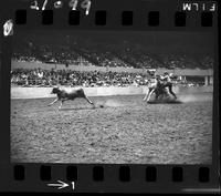 Bobby Goodspeed Calf Roping