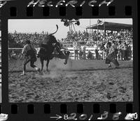 Billie Morris off 210