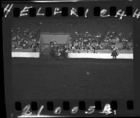 Bill Watts Steer Wrestling