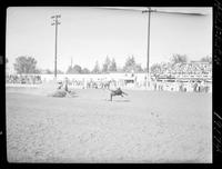 Bill McMeans  Calf Roping