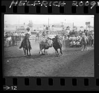 Ed Galemba Steer Wrestling