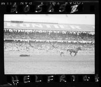 Bill Harlan  SR