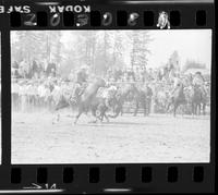 Jerry Peth Steer Wrestle