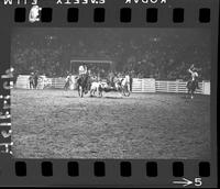 Jerry Crittenden Steer Wrestle