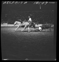 Lee Kimble Steer Wrestling