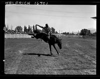 Walt Linderman on Geronimo