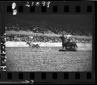 Jim Bob Altizer Calf Roping