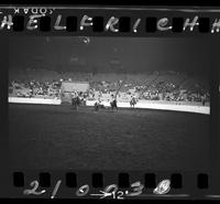 Dean Oliver Steer Wrestling