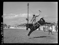 Sonny Linger on Knott Inn