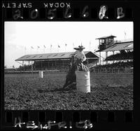 Unidentified Barrel Racers